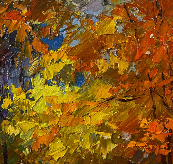 Golden Autumn Forest