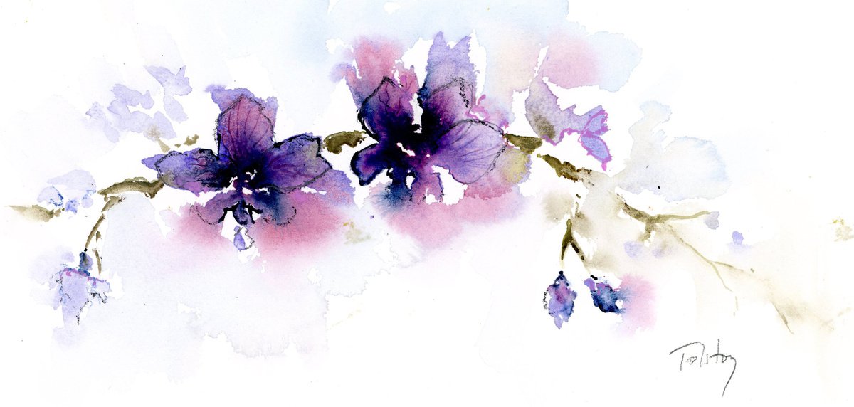 Impressionistic Botanical Watercolour By Alex Tolstoy, 12 X 6, Dendrobium I, Original Artwork