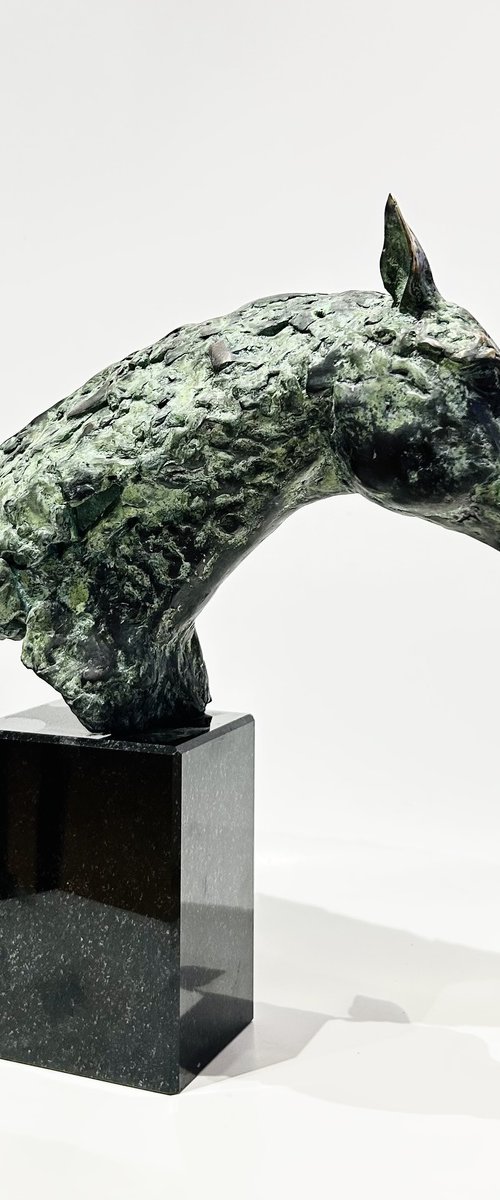 The Noble Hoof, no.V/VIII by Joanna Cholewa