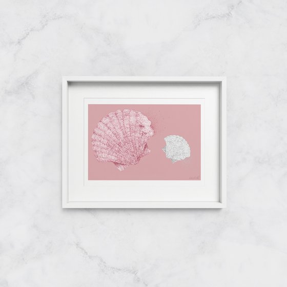 Look Shells - Scallop Shell Illustration