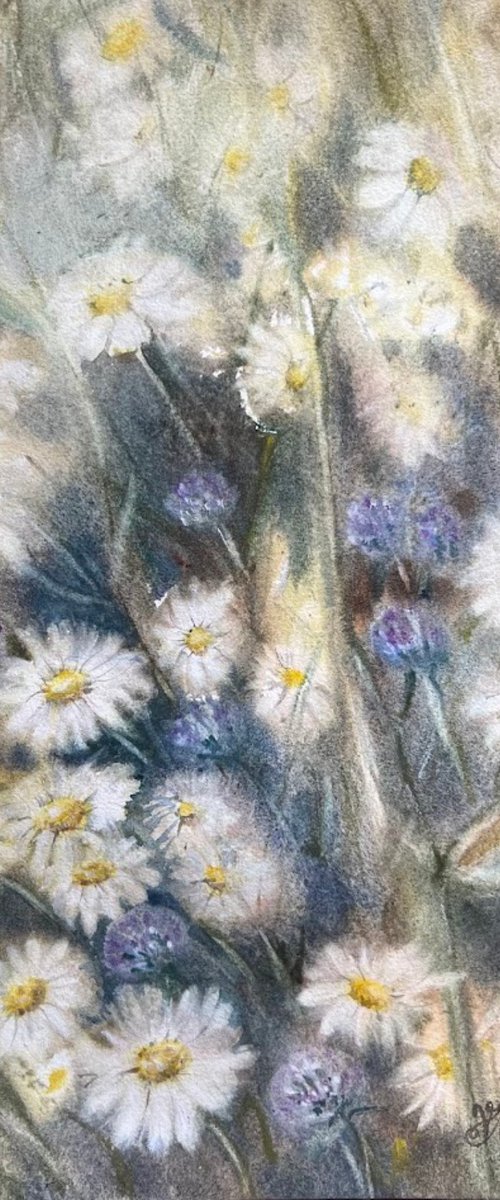 Daisy meadow by Vladlena Miroyan