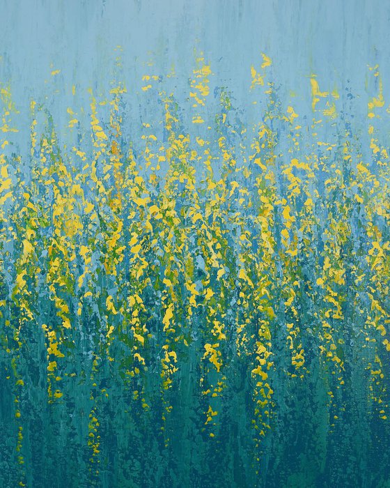 Yellow Flowers - Flower Field