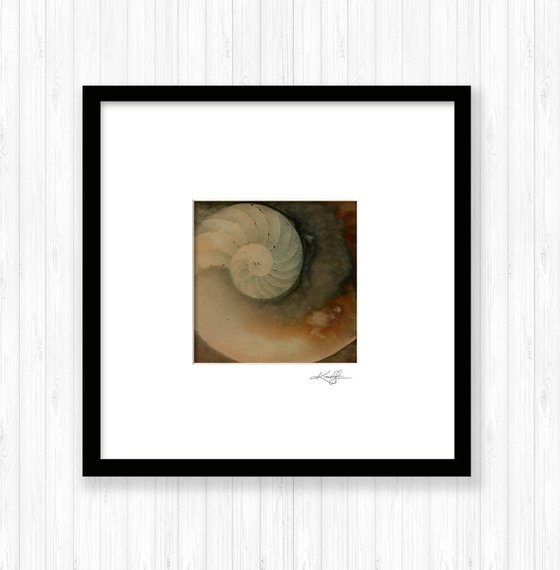 Nature's Tranquility 11 - Sea Shell Painting by Kathy Morton Stanion