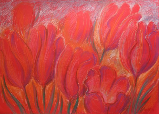 Tulips Red 3