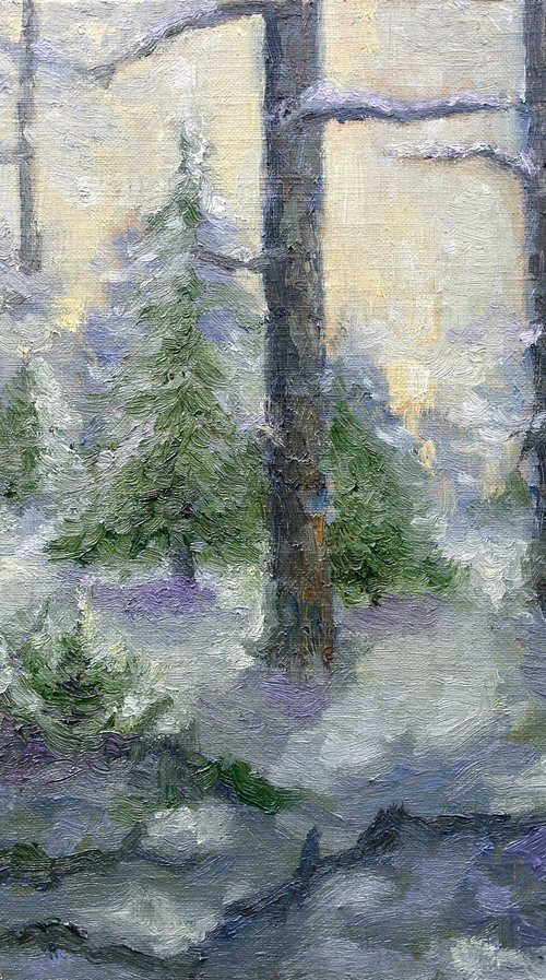 Landscape Winter Day by Juri Semjonov