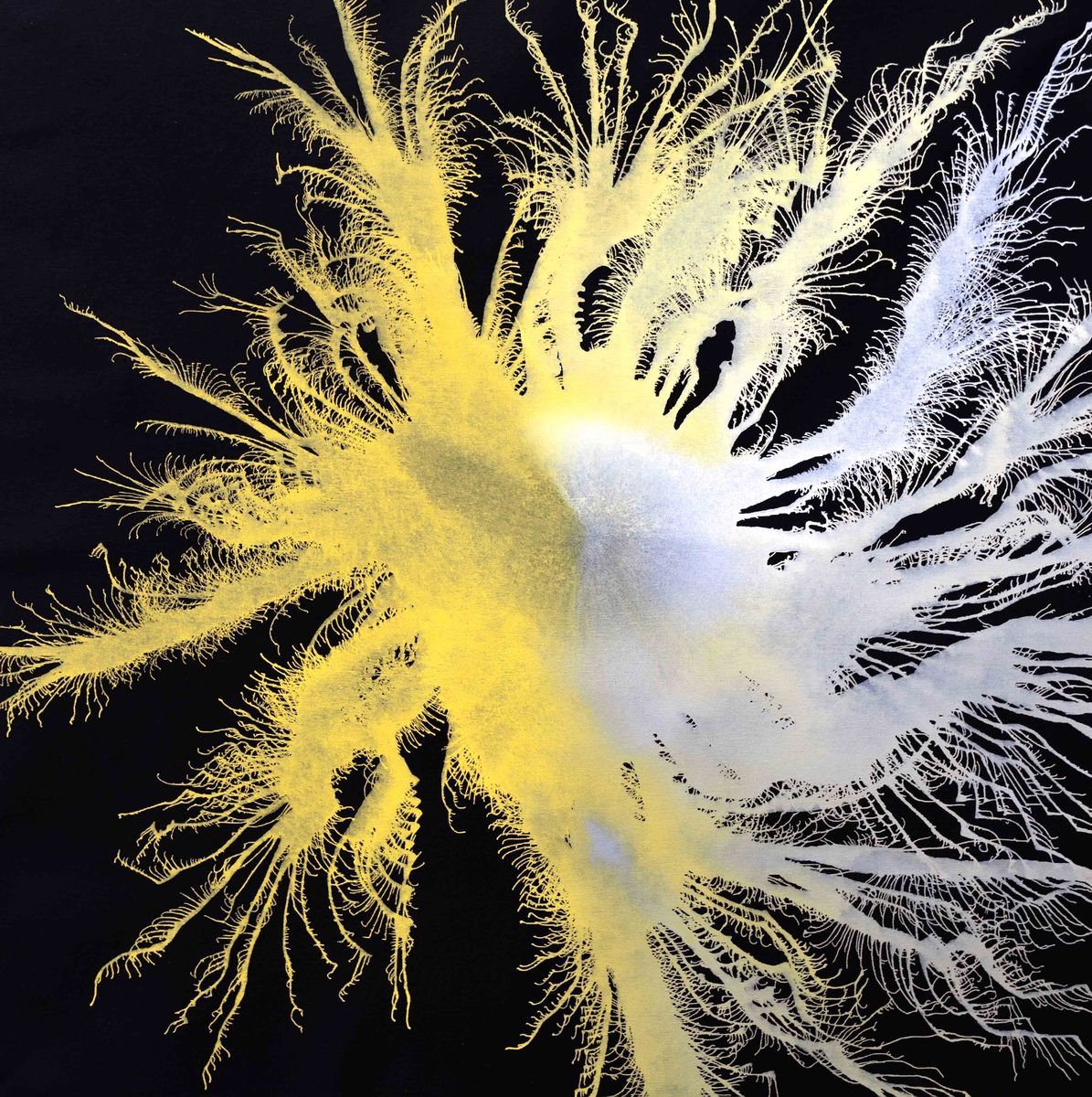 Abstract Acrylic Painting By Sumit Mehndiratta, 34 X 34", Exploflora Series No. 68, Original Artwork