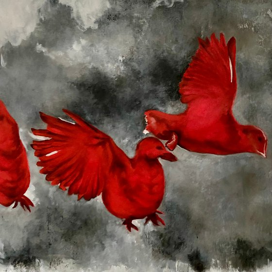 Soaring 60X60 (2024)