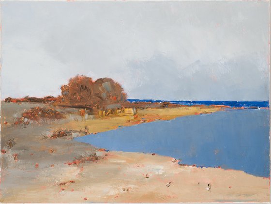 Seacoast 13