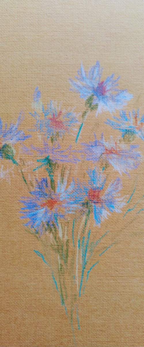 Cornflowers. Pencil drawing on brown paper. Miniature by Elena Klyan