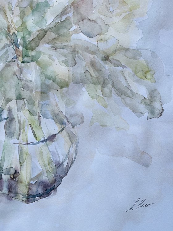 Peonies 50x65 cm 2025