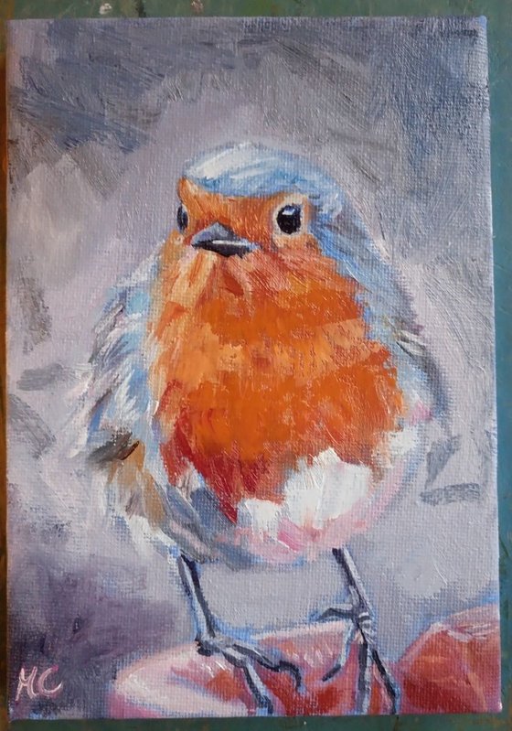 Robin Redbreast