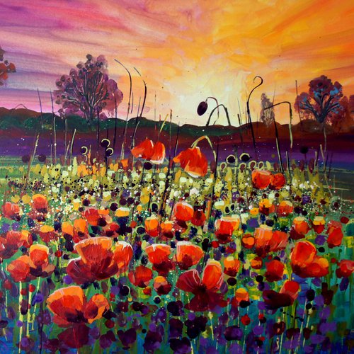 Poppies in the Sunset by Julia  Rigby