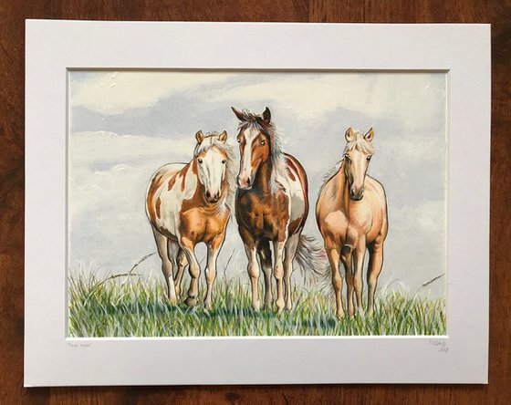 Three horses