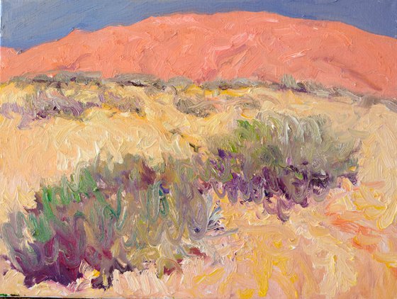 Desert. Midday