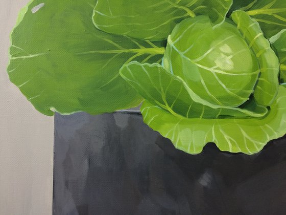 Cabbage