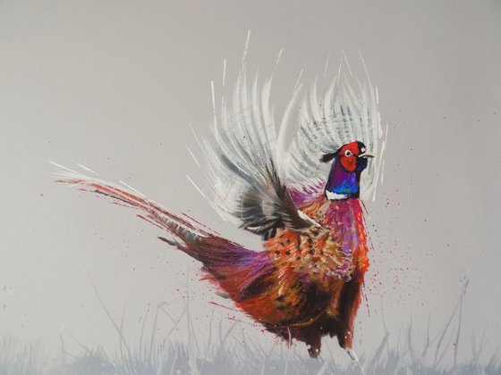 Pheasant painting called 'In a Flap'