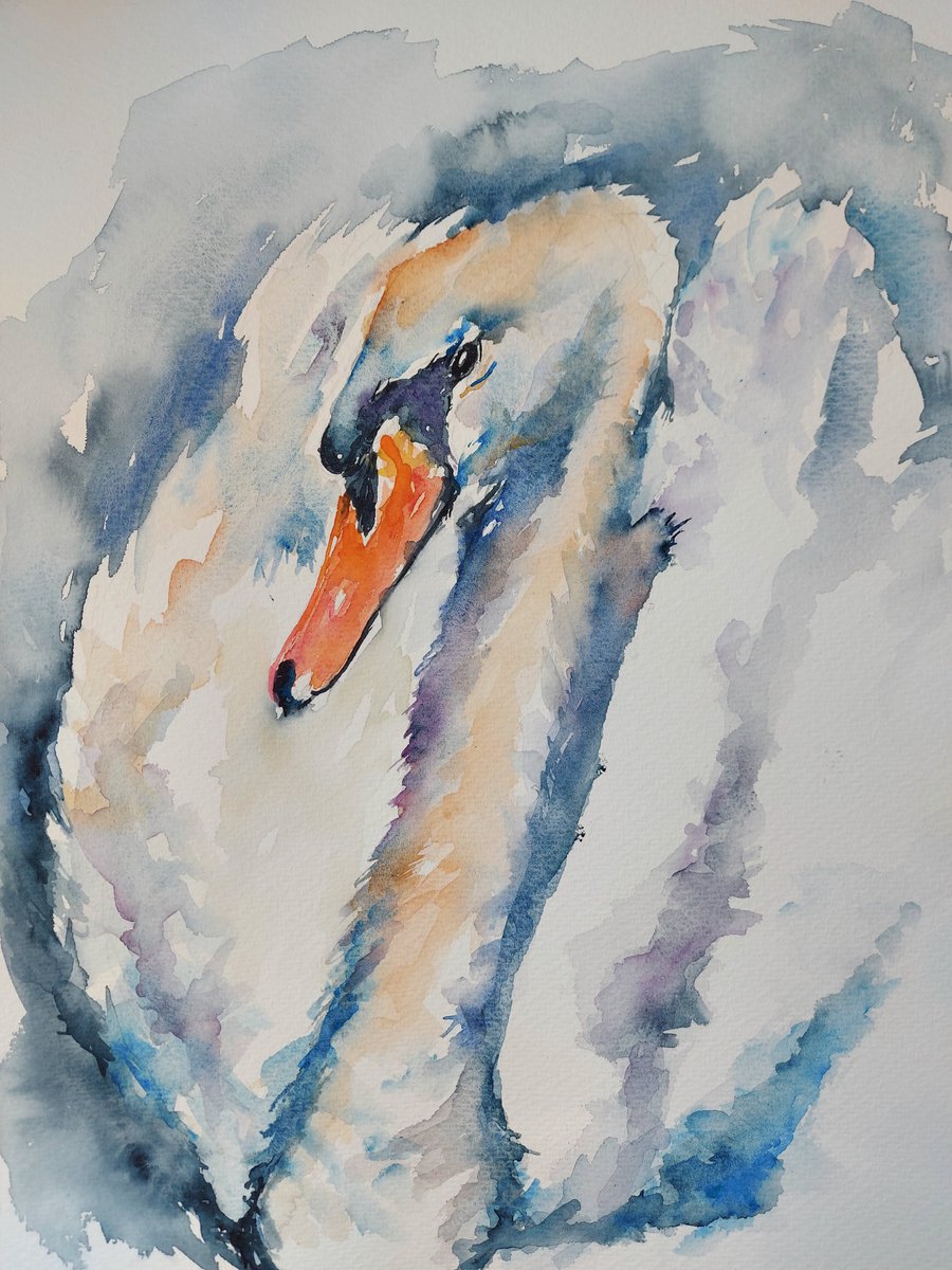Swan by Sue  Green