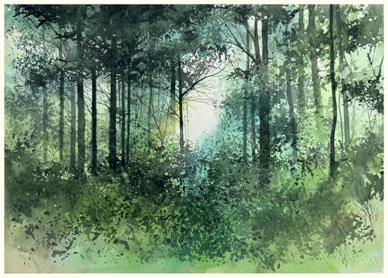 Forest landscape