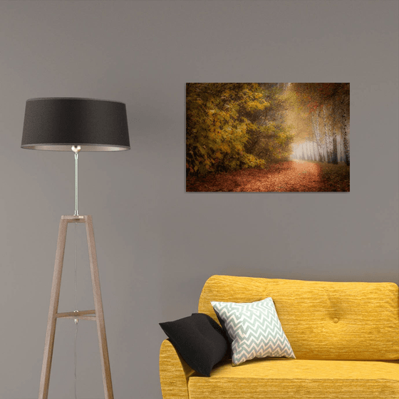 Autumn Calm III — Silent Path