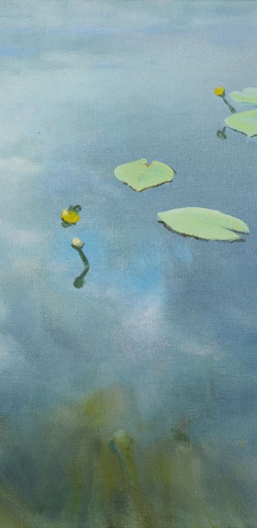 Water Lilies - II by Alexander Levich
