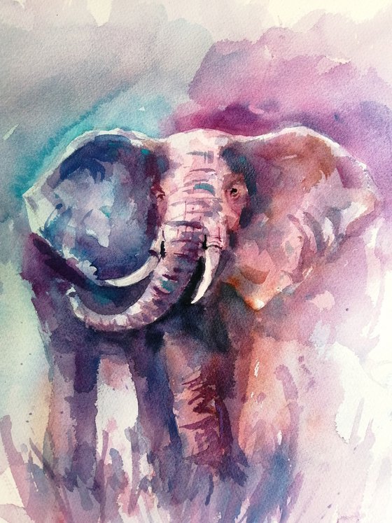 elephant 21