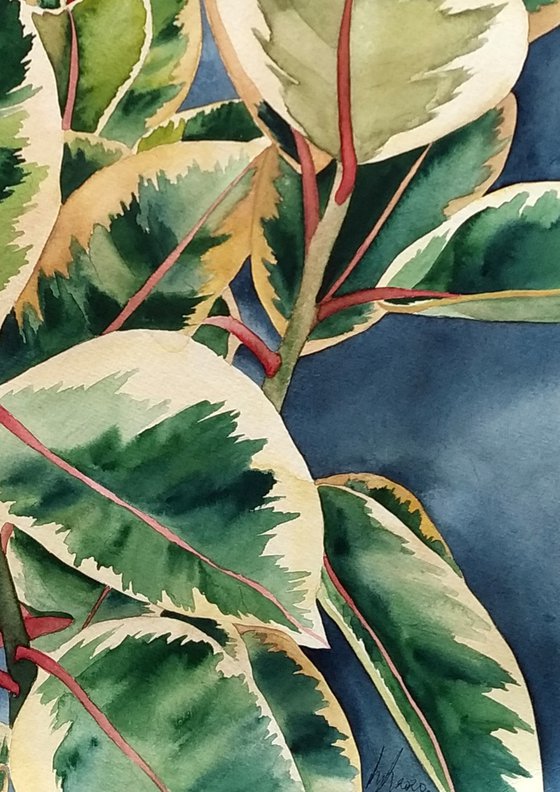 Ficus Painting 2