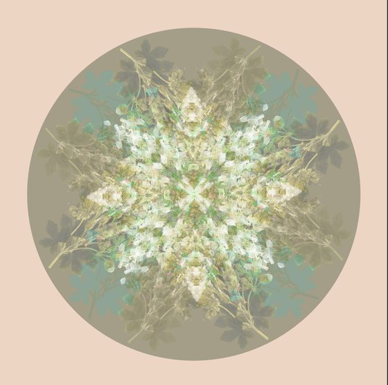 Botanical Mandala #4