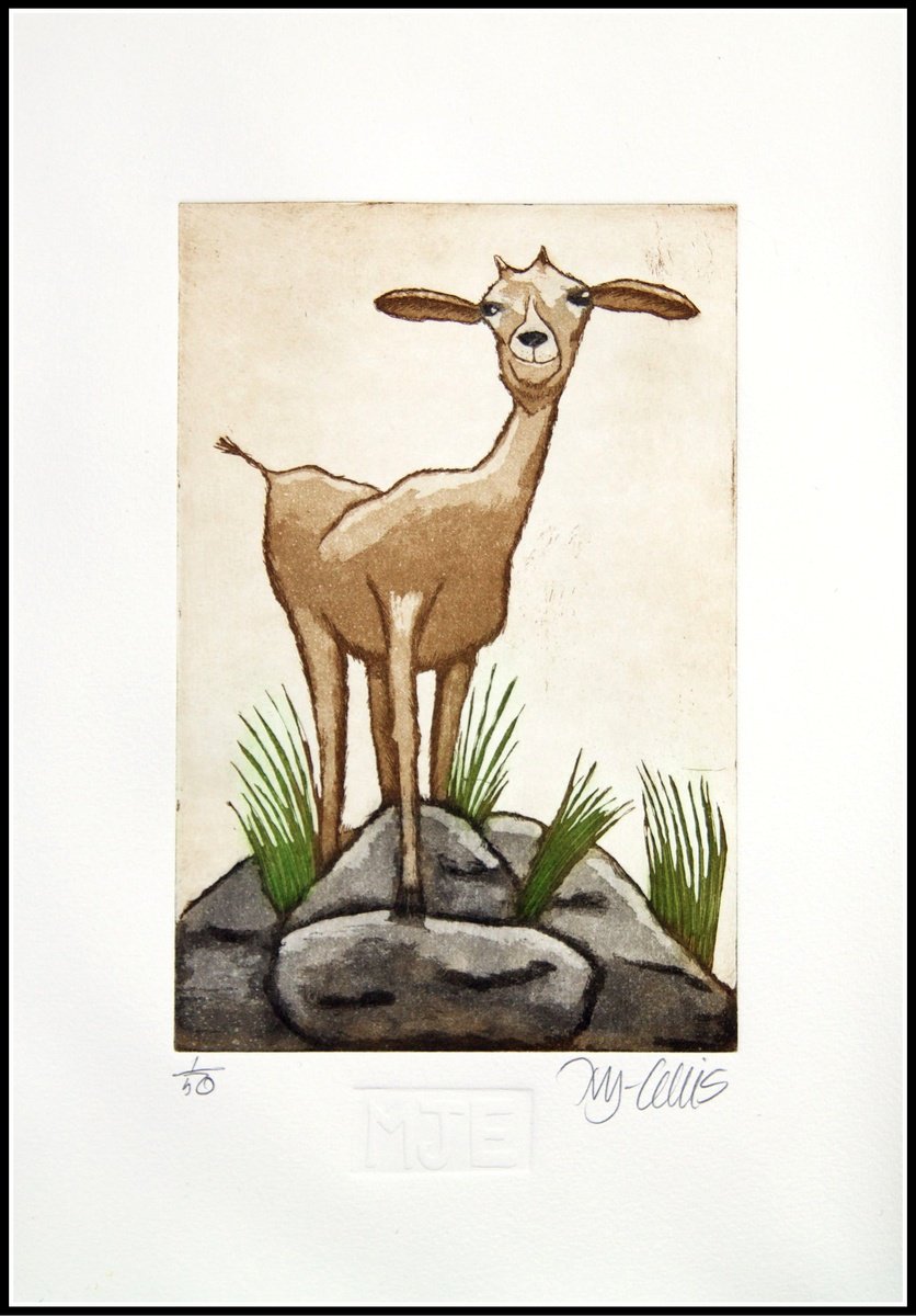 Illustrative Etchings & Engravings , Just A Little Goat By Mariann Johansen-Ellis, 10 X 14, Artwork For Sale On Artfinder