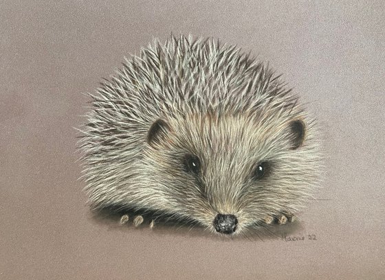 Hedgehog