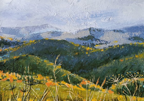 Clouds Over Gold of Grass