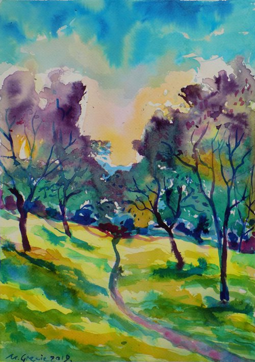 Sunset in olive grove by Maja Grecic