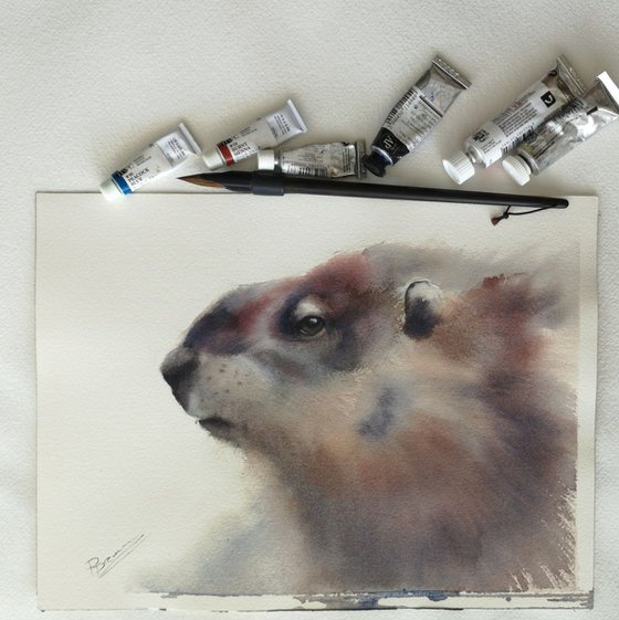 Woodchuck portrait (A4)