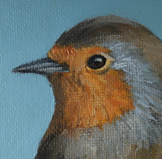 Robin Study Painting