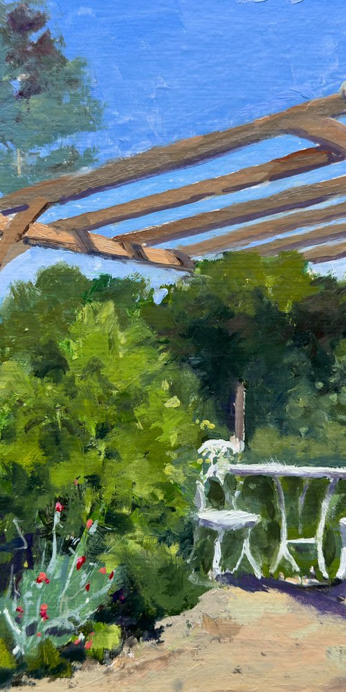 Under the pergola by Toni Swiffen