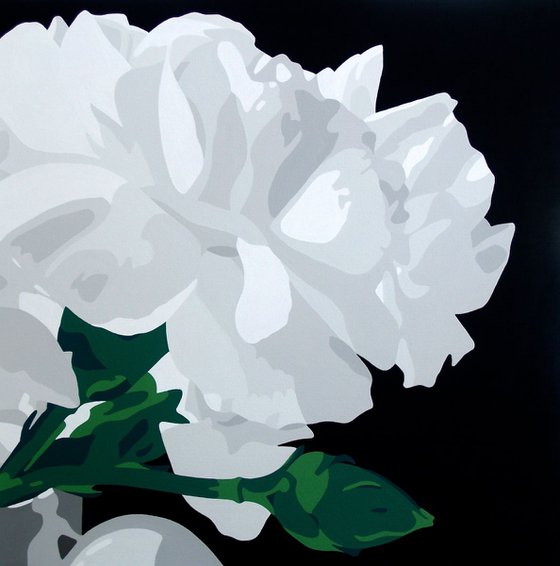 White Carnations