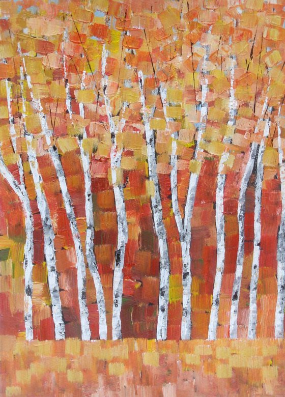 Autumnal Silver Birch 2