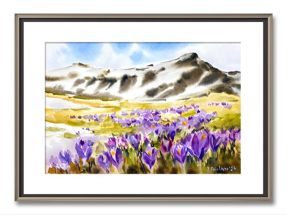 "Mountain Spring Symphony original watercolor painting with flowers and snow, early spring art, purple flowers in the field