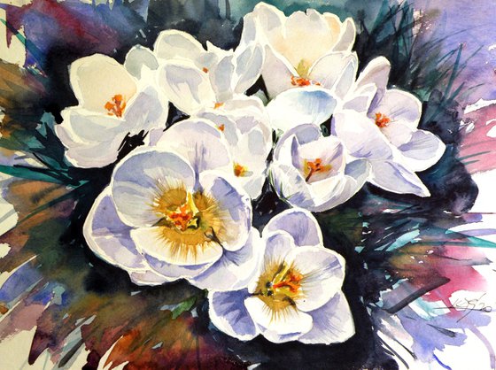 First crocus