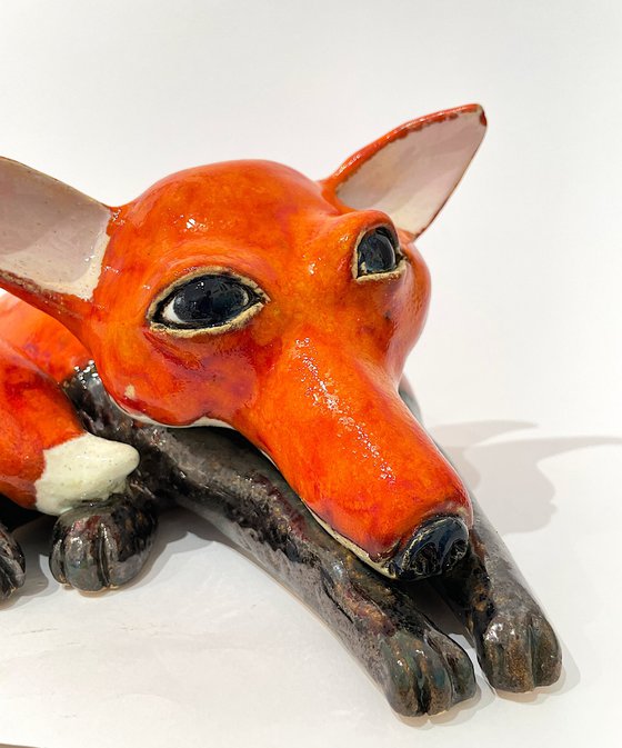 Charming Lovely Fox