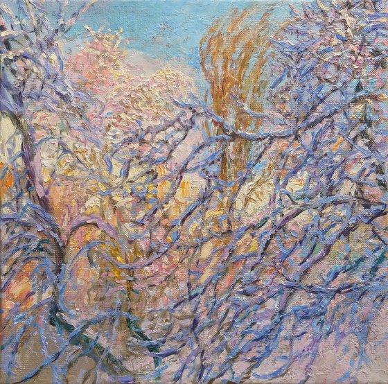 Засніжені каштани