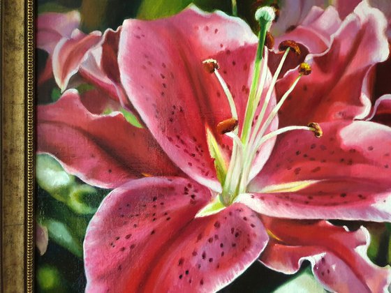 "Oh, lily ..."  pink red flower lily liGHt original painting  GIFT (2021)