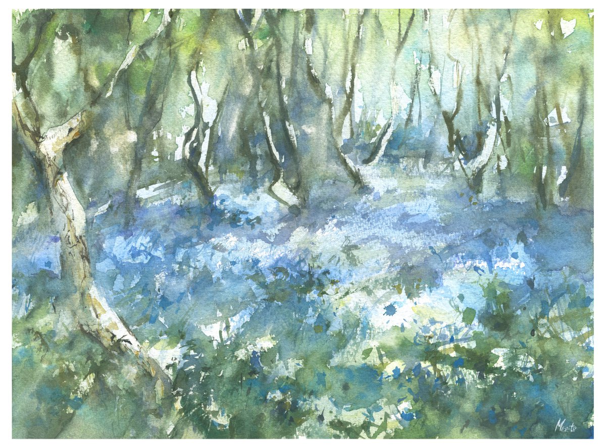 Bluebells of Sidmouth woods -1 by Merite Watercolour