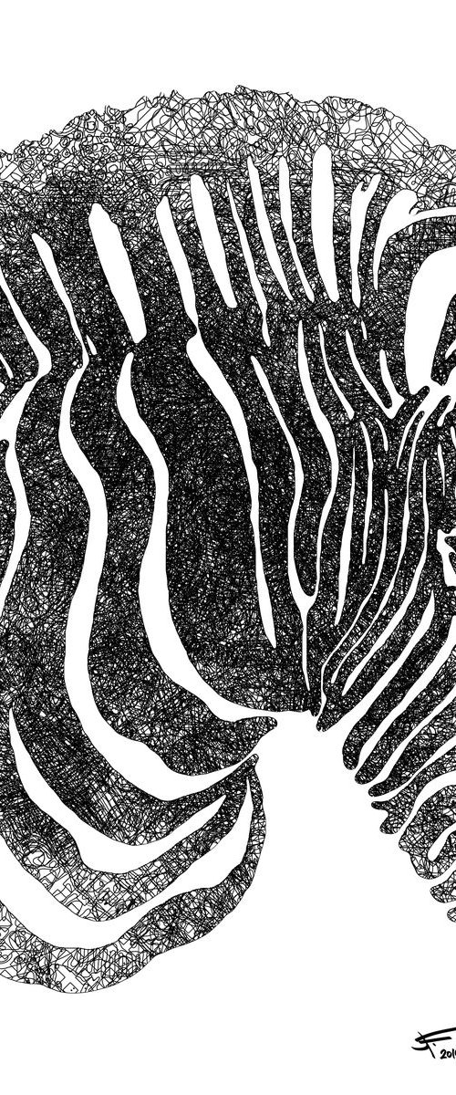 Zebra: Monochrome, Framed Artwork, 16 x20 inches, by Jeff Kaguri