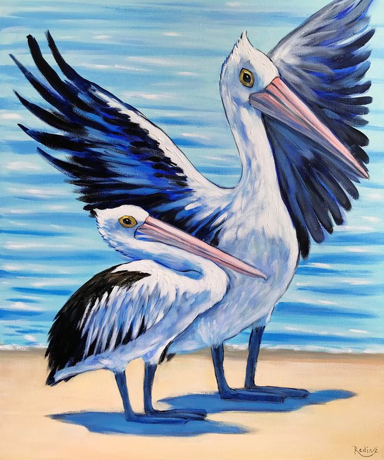 Pelicans at the Beach