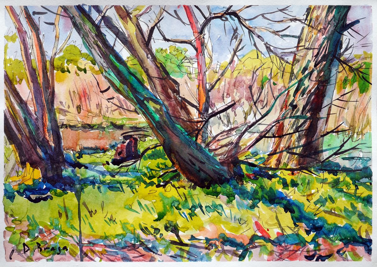 Landscape Ink Drawing By Dima Braga, 17 X 12, Trees By A Water, Original Artwork