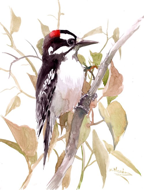 dawny woodpecker by Suren Nersisyan