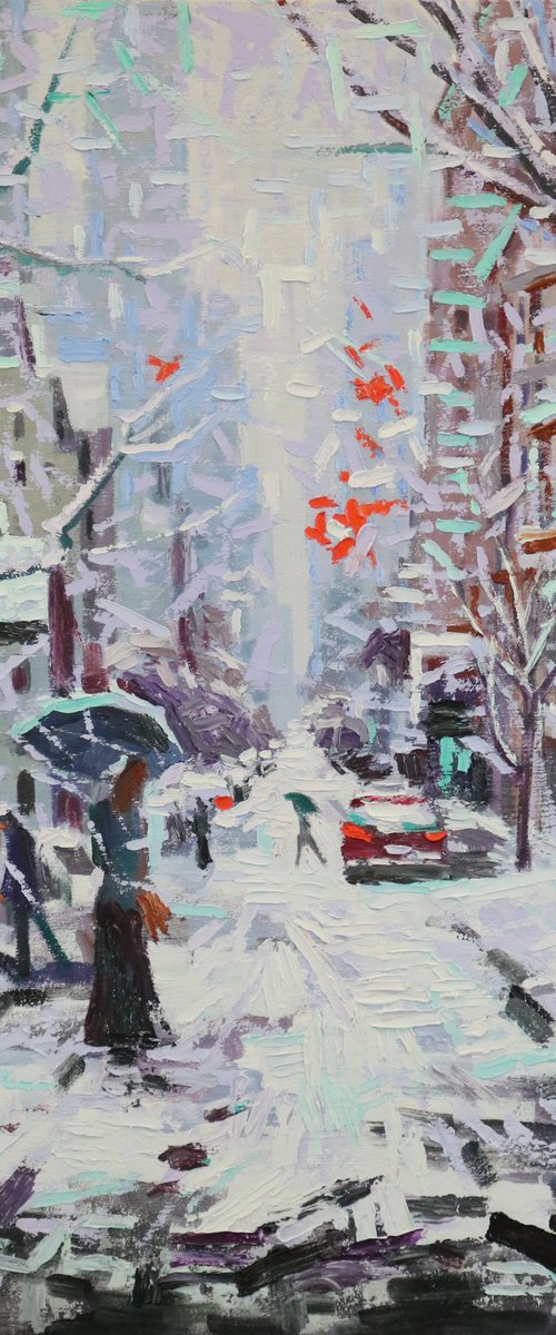 Winter White in Upper NY by Chin H Shin