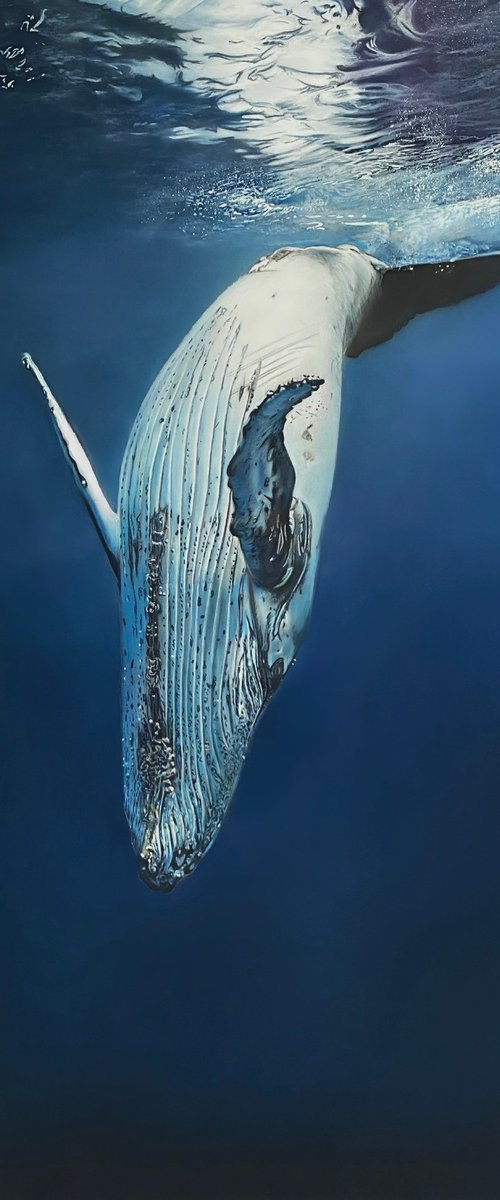 Blue Whale by Clare Parkes