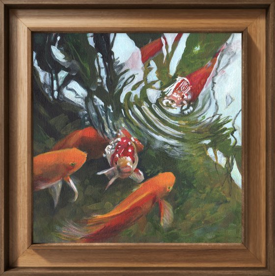 Pavilion Fish