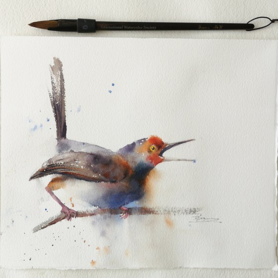 Watercolor Robin (10.5x8.5)